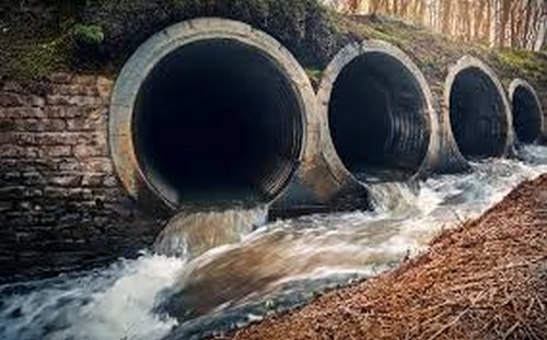 Ecco  gli   antichi  greci  cosa  fecero per proteggere  l’ambiente